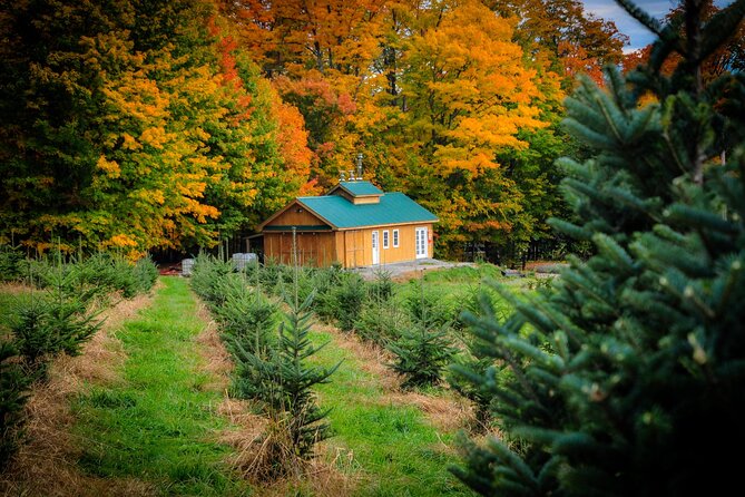 Nature Walk - Explore Vermont’s Serene Nature on a $20 Self-Guided Walk at Maple Hill Farm