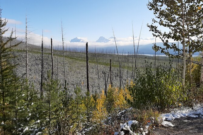 Nature Walk in Glacier National Park - Meeting Point and Logistics at Glacier Guides & Montana Raft