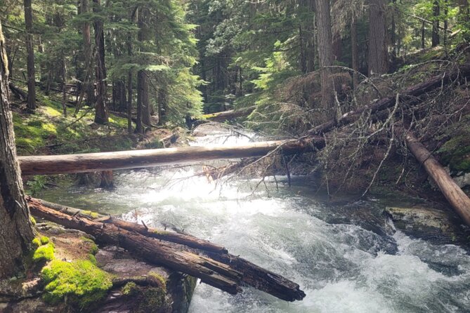Nature Walk in Glacier National Park - The Second 1-Mile Walk Along North Fork River