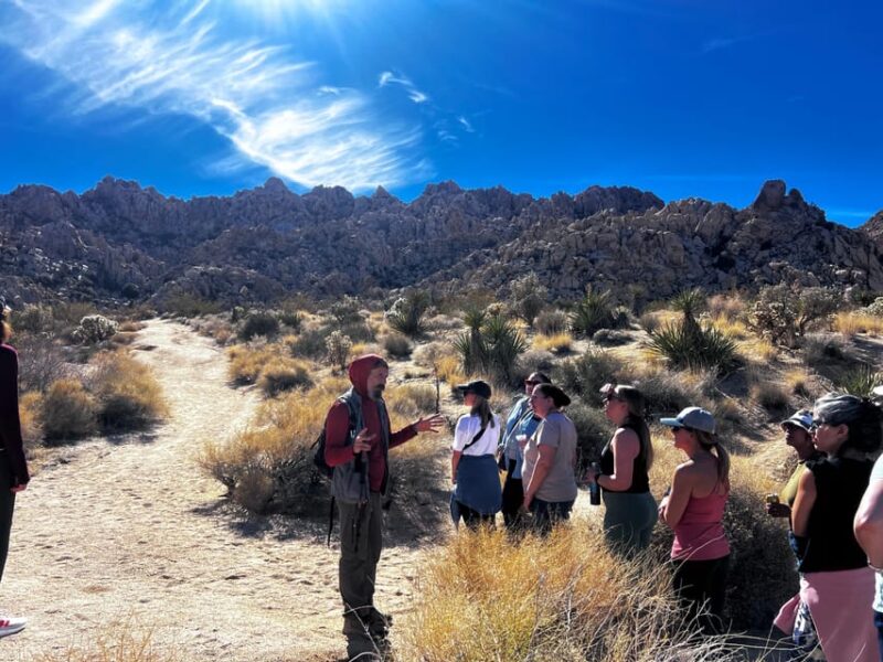 Nature Walk+Cacao Ceremony+Soundbath Meditation- Joshua Tree - Who Will Find This Tour Most Fitting?
