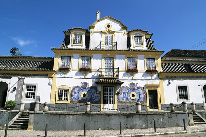 Nature, Wines and Ceramic Tiles: Private Tour - Savoring Fresh Seafood in Setúbal