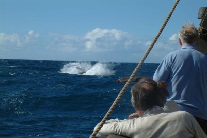 Nau Santa Maria - What Sets This Tour Apart from Other Madeira Boat Trips