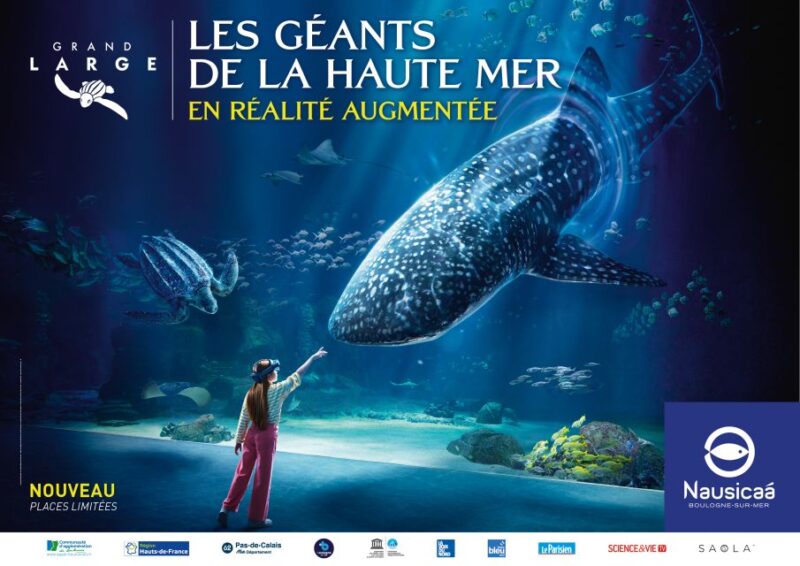 Nausicaá National Sea Center: Full-Day Entry Ticket - The Cost and Duration of Your Nautical Adventure