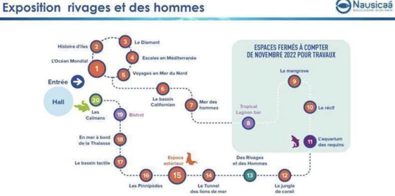 Nausicaá National Sea Center: Full-Day Entry Ticket - Interactive Animations and On-Site Activities