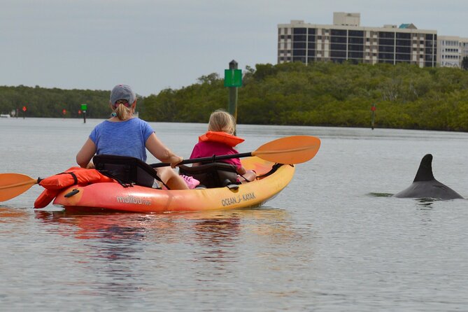 Nauti Exposures - Guided kayak tour through the Mangroves - Benefits of the Small-Group Format
