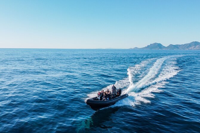 Nautical excursion - Cannes-St Tropez - Optional Activities and Free Time in Saint-Tropez