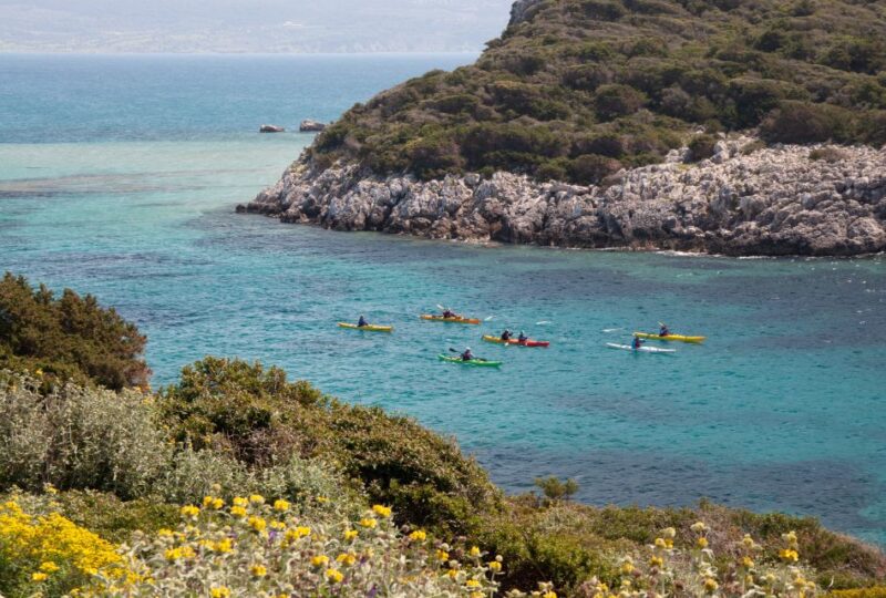 Navarino Bay: Sea Kayaking with Lunch - Who’s Best Suited to This Sea Kayaking Trip?