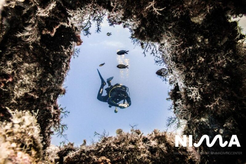 Naxos: Discover Scuba Dive with Nima Dive Center - Key Points