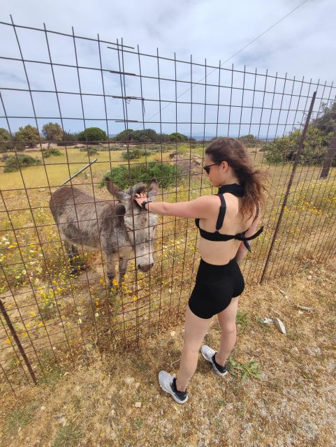 Naxos: Explore the cave of the unspoiled south-east coast! - The Experience of a Guide-led Adventure in Naxos