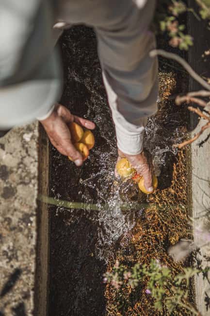 Naxos: Family Farm-table Cooking, Kouros Tour & Live Music - Traditional Music and Dancing with a Local Flavor