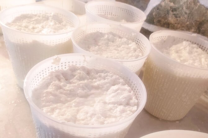 Naxos Farm Experience and cheese making - Who Should Consider This Tour?