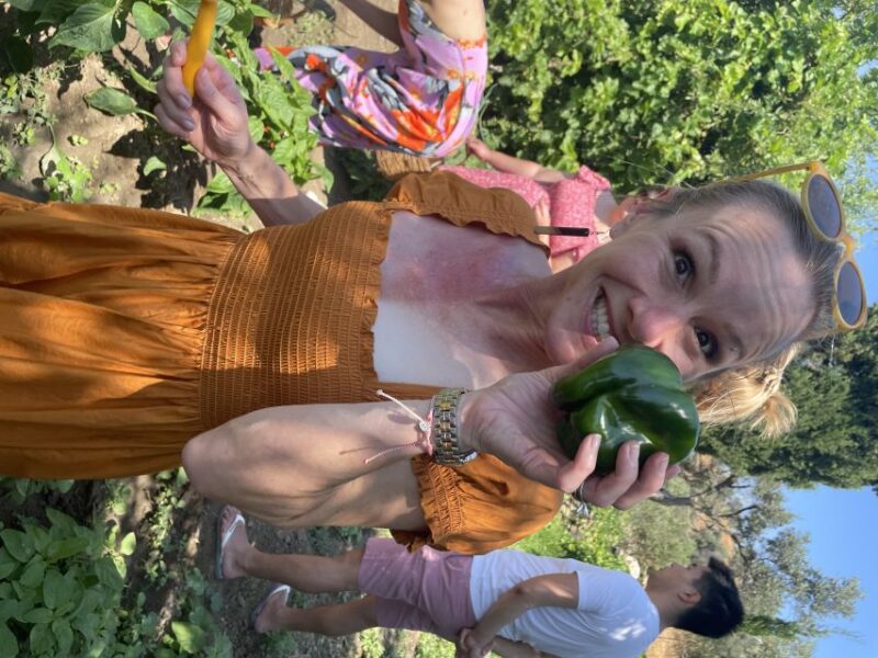 Naxos: Half-Day Cooking Class at Basiliko Family Tavern - Enjoying a Farm-to-Table Meal with Greek Music