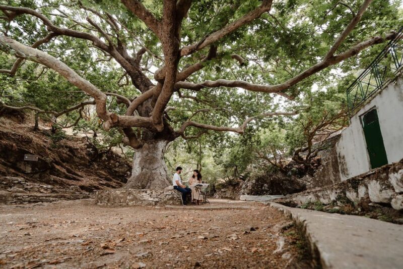 Naxos: Heritage & Flavors Tour with Cheese-Making - Cheese-Making with a Young Shepherd