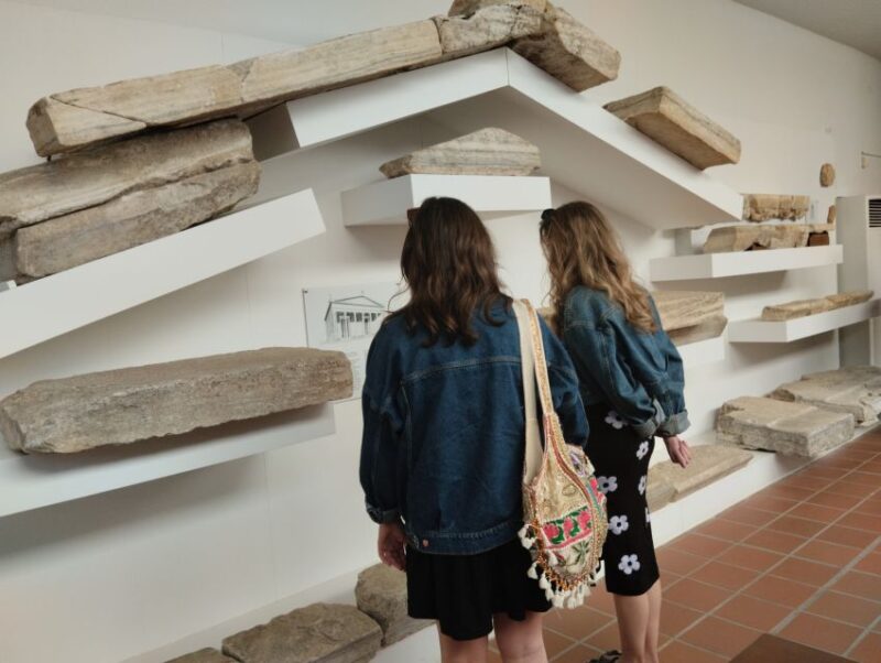 Naxos: Highlights Bus Tour with Free Time for Lunch and Swim - Who Will Appreciate This Tour Most?