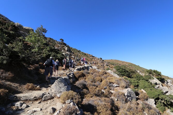 Naxos: Hike to the Top of the Cyclades - Mount Zas - Practical Insights: Group Size, Pacing, and Accessibility