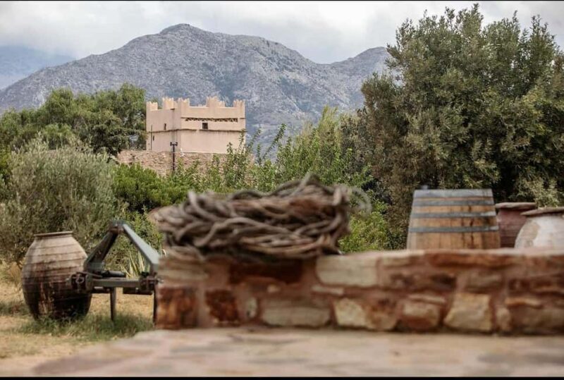 Naxos: Historic Olive Press & Shepherd Cheese Tour - Visiting the Historic Olive Press in Kaloxylos