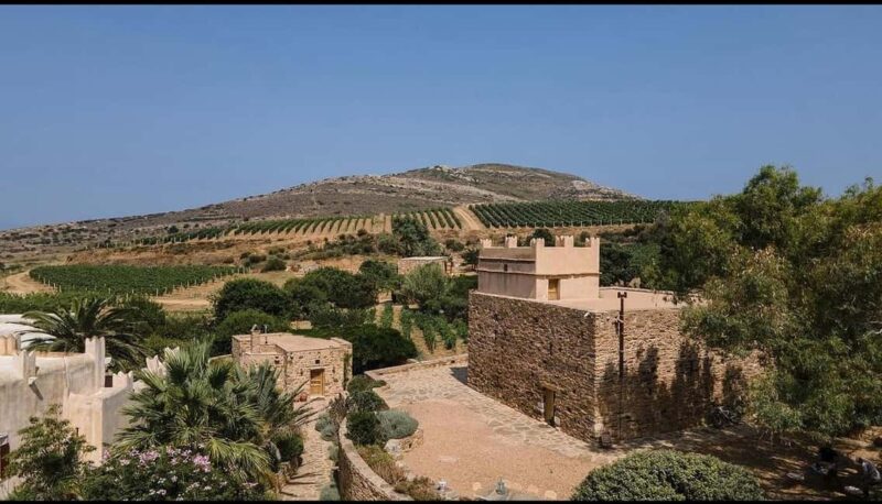 Naxos: Historic Olive Press & Shepherd Cheese Tour - Exploring the Vineyards at a Family-Run Winery