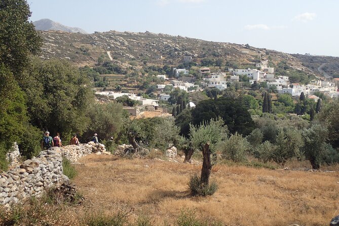 Naxos: Inland hike to explore local villages & antiquities - Who Will Appreciate This Tour Most