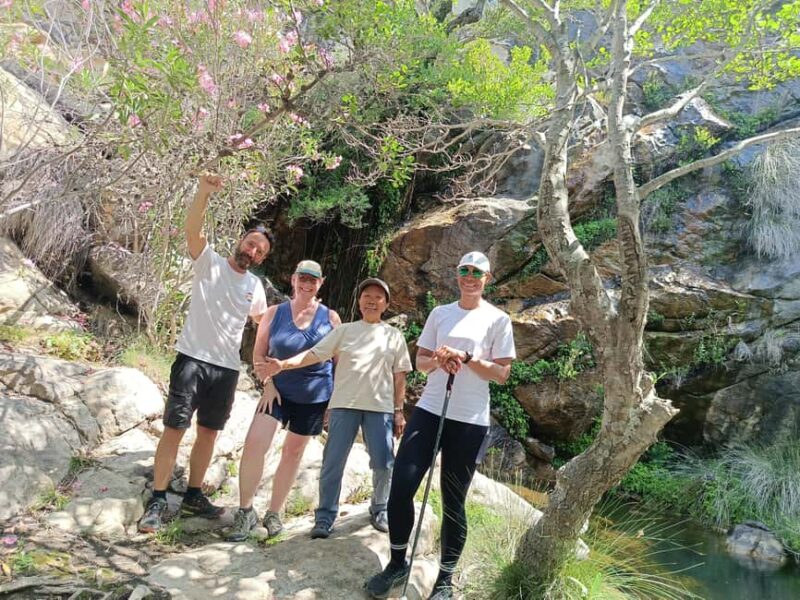 Naxos: Mystical Gorge & Hidden Waterfall Escape,Private Hike - The Tranquil Pool and Seasonal Water Flow