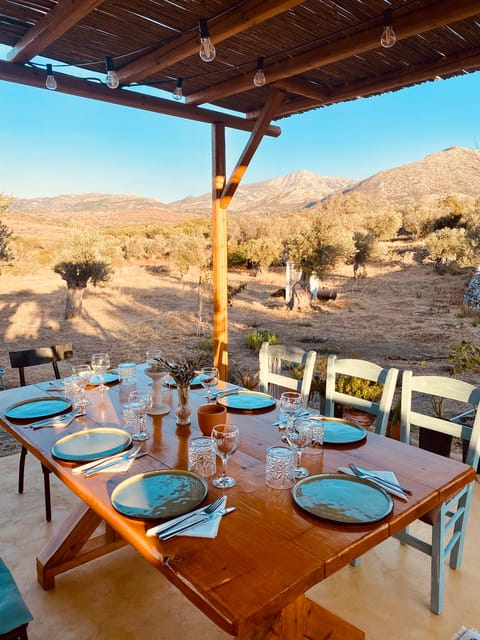 Naxos : Private BBQ night in the olive grove - Naxos Private BBQ Night: A Quiet Feast in Nature