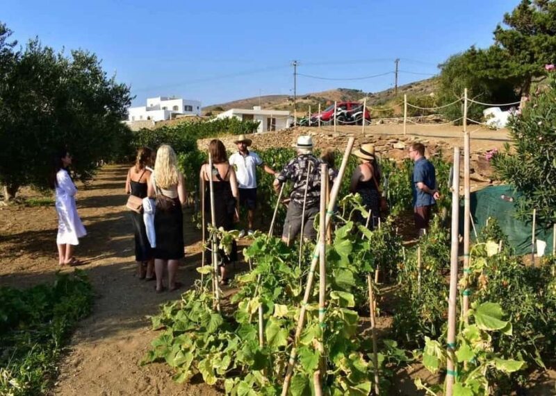 Naxos Private Cheese and Wine 6 Hour Experience - Discover Naxos with a Private Cheese and Wine Tour