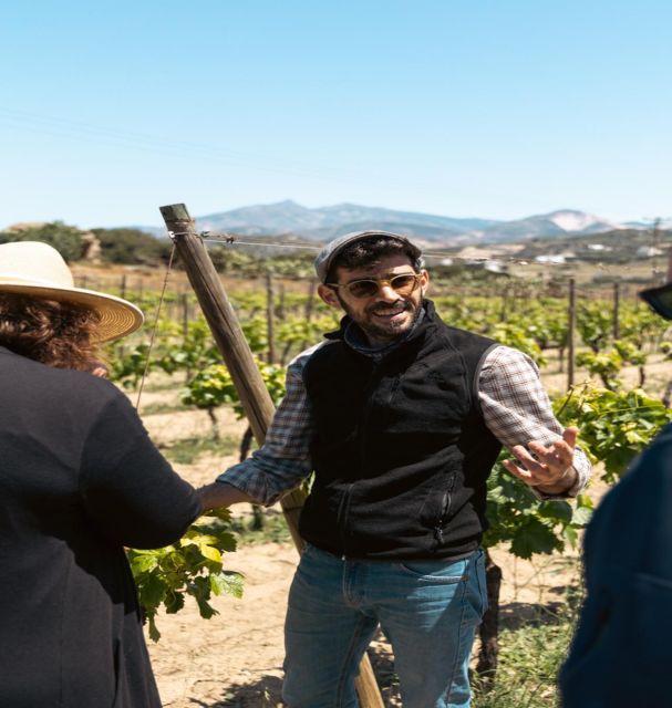 Naxos: Private E-Bike Tour with Wine Tasting Inland Methexis - The Fragrant Ride Back Through Naxos Countryside