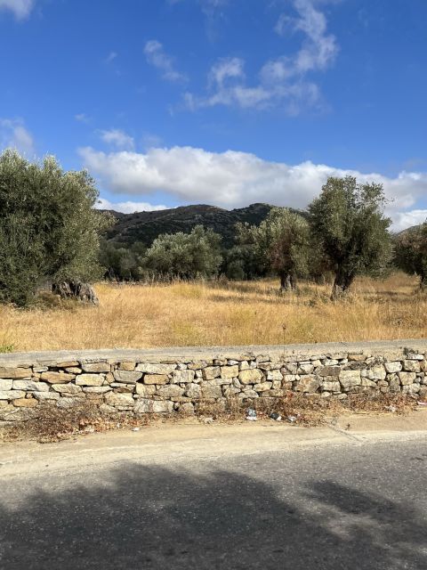 Naxos: Private E-Bike Tour with Wine Tasting Inland Methexis - The Value of a Full-Day Cultural Adventure