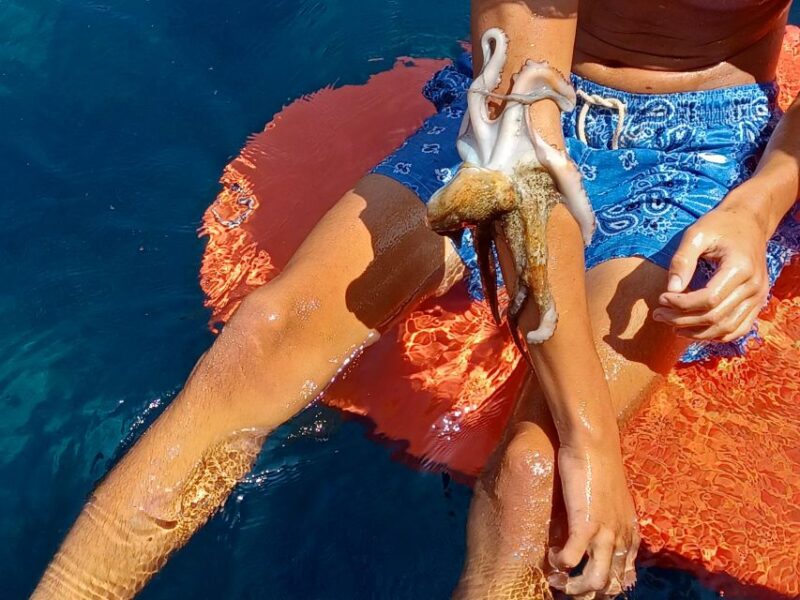 Naxos: Private Fishing Boat Trip with Fresh Onboard Meal - Experience the Traditional Greek Fishing Techniques