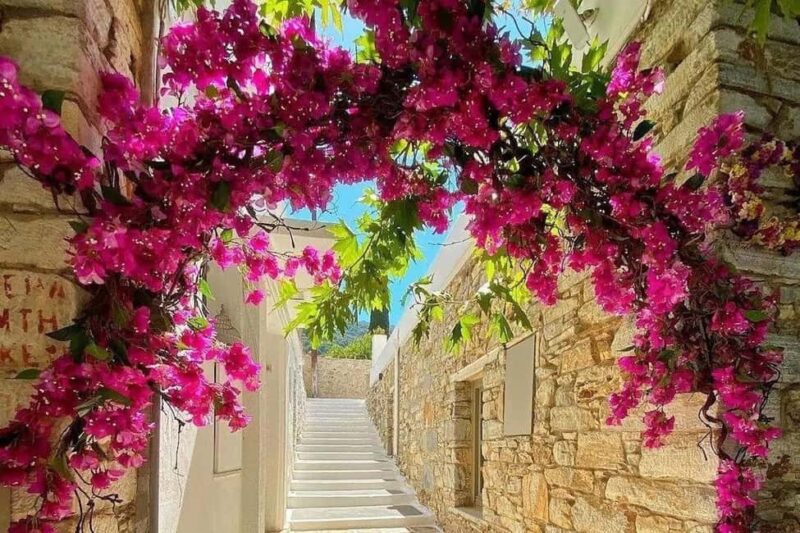 Naxos: Private Full Island 5-Hour Tour - Key Points
