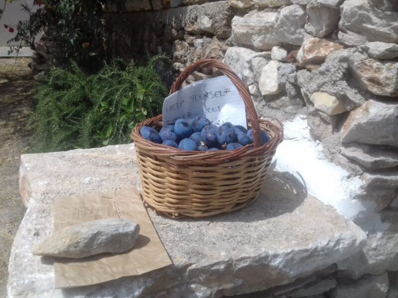 Naxos: Private Minibus Rental with an Experienced Driver - Who Should Consider This Private Minibus Tour?