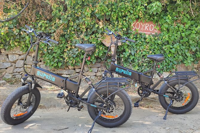 Naxos Private / Semi Private E-Bike Guided Tour Aegean Lush - Exploring Local Agriculture and Heritage on a Hidden Farm