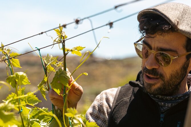 Naxos Private / Semi Private E-Bike Guided Tour Inland Methexis - Starting Point at Aurelia e-assist Bikes in Naxos Town
