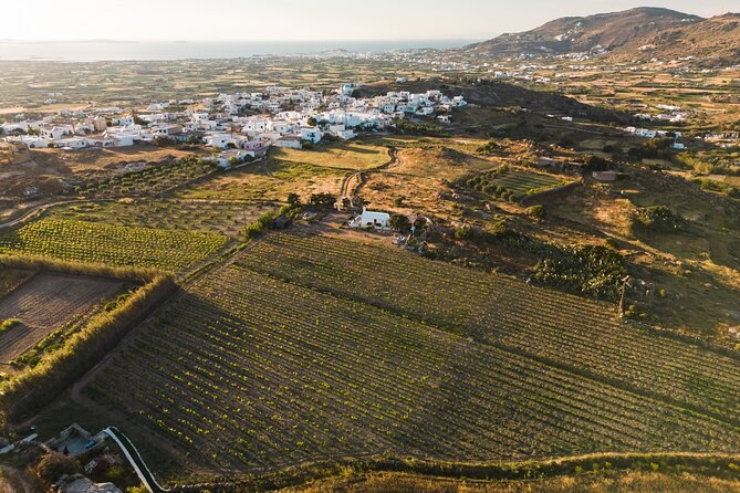 Naxos Private / Semi Private E-Bike Guided Tour Inland Methexis - What’s Included and What to Expect