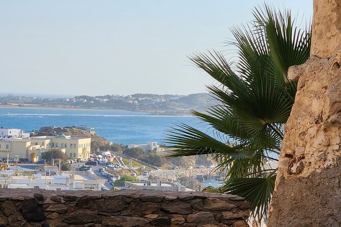 Naxos Sunset Walking Tour - Tasting Naxian Citron Liquor
