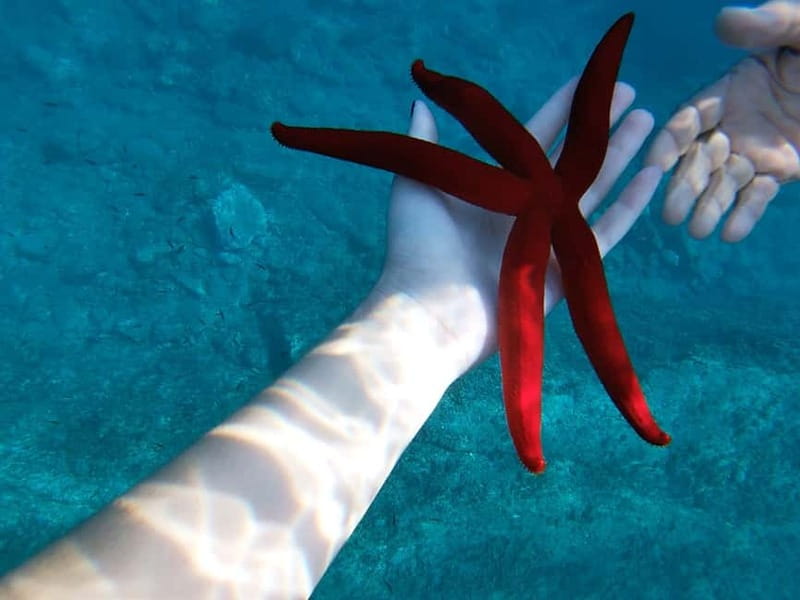 Naxos: Taormina Boat Tour with Snorkeling and Prosecco - What’s Included in the Tour