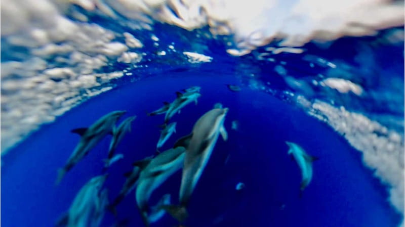 Naxos: Taormina Boat Tour with Snorkeling and Prosecco - Snorkeling in the Clear Waters of Isola Bella