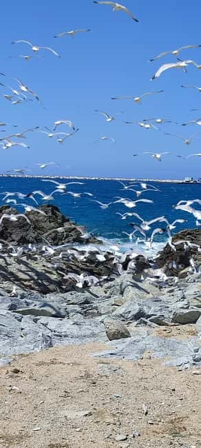 Naxos: West Coastline E-Bike Tour with Sunset Option - Naxos: West Coastline E-Bike Tour with Sunset Option — A Scenic Coastal Ride in Greece