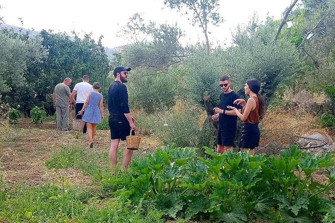 Naxos:Half-day cooking class at Basiliko - How the Tour Combines Farm Life with Cooking Skills