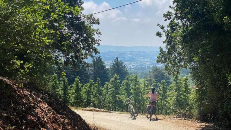 Nazaré E-Bike Tour - Off Road Coast Tour - Practical Details: Logistics and Inclusions