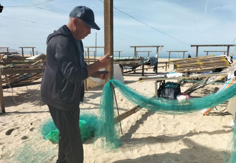 Nazaré (Giant Waves): Half-Day Private Tour from Lisbon - The Guide’s Style and Local Knowledge