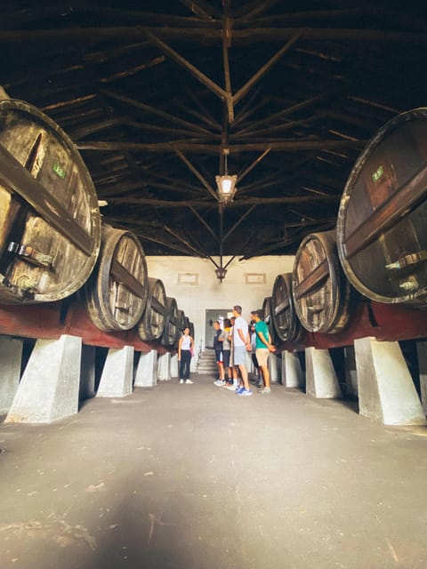 Nazaré - Óbidos E-bike and Wine tour - Discover Portugals Atlantic Coast on an E-bike and Wine Tour