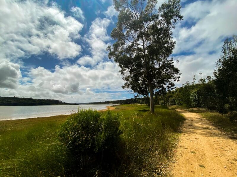 Nazaré - Óbidos E-bike and Wine tour - The Historic Walls of Óbidos and Lagoon Birdwatching