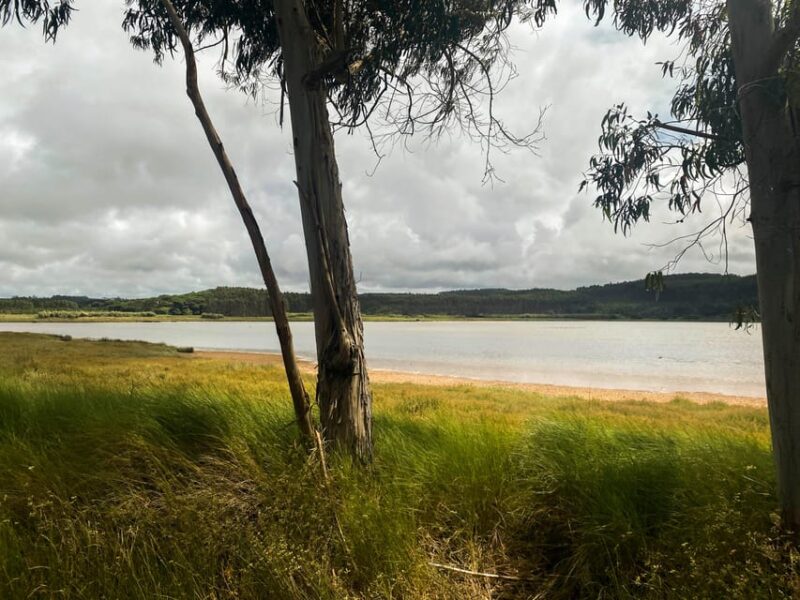 Nazaré - Óbidos E-bike and Wine tour - Physical Requirements and Accessibility