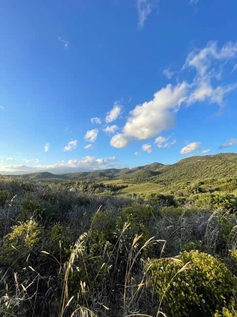 Near Cagliari: Almond Blossom Magic at "In Our Garden" (new) - Exploring the Almond Groves with a Local Expert