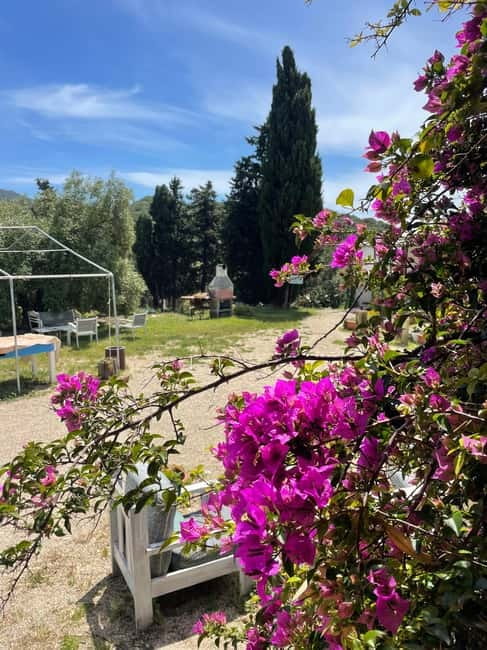 Near Cagliari: Almond Blossom Magic at "In Our Garden" (new) - Relaxing Self-Massage with Almond Oil