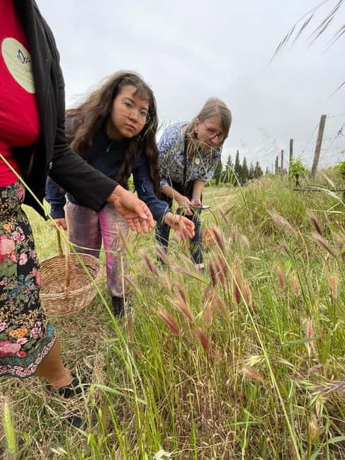 Near Cagliari: Wild Herbs and Healing at "In Our Garden" - Discover Sardinia’s Herbal Secrets with Ramona