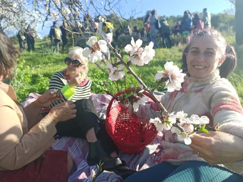 Near Cagliari: Wild Herbs and Healing at "In Our Garden" - Learning About Sardinian Herbal Remedies and Folk Traditions