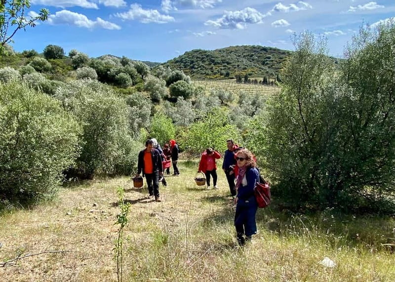 Near Cagliari: Wild Herbs and Healing at "In Our Garden" - Take Home a Handmade Lavender Mazzetto