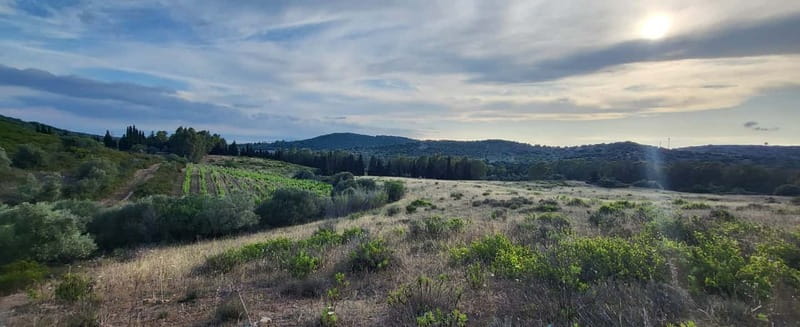 Near Cagliari: Wild Herbs and Healing at "In Our Garden" - The Unique Focus on Sardinian Herbal Traditions