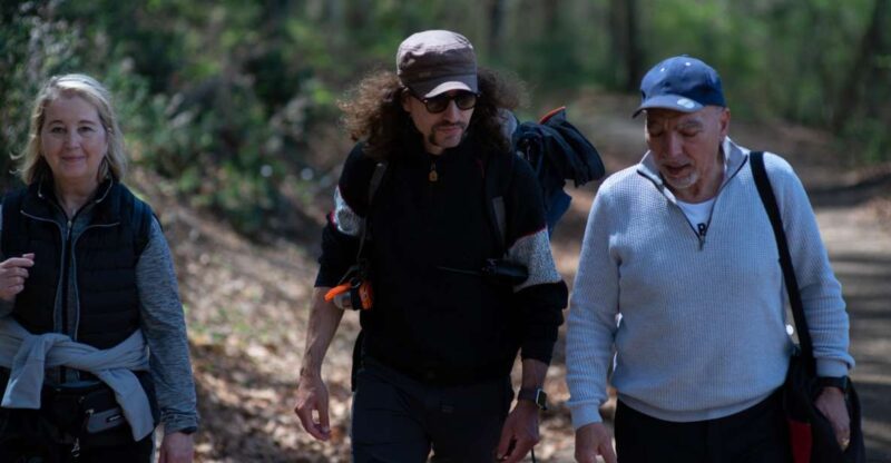 Near Rome: Hike in the ancient UNESCO-heritage forest - The Effect of Fog and Weather on the Forest Atmosphere